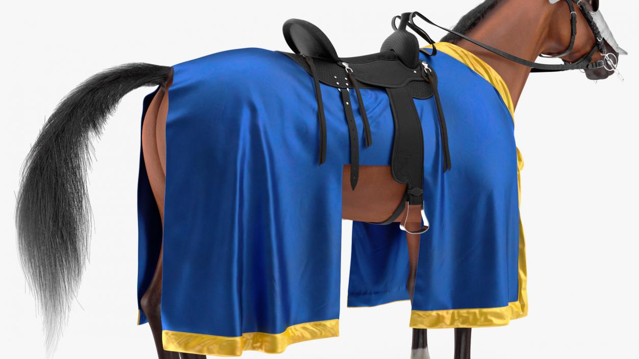 Knight Horse Blanket Fur 3D model