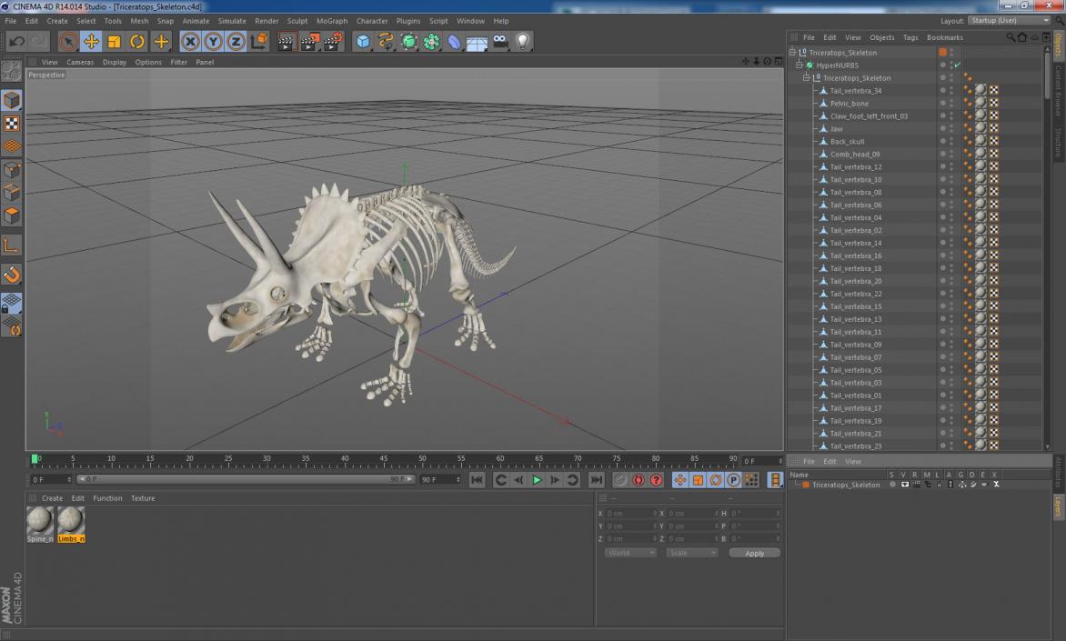 3D model Triceratops Skeleton