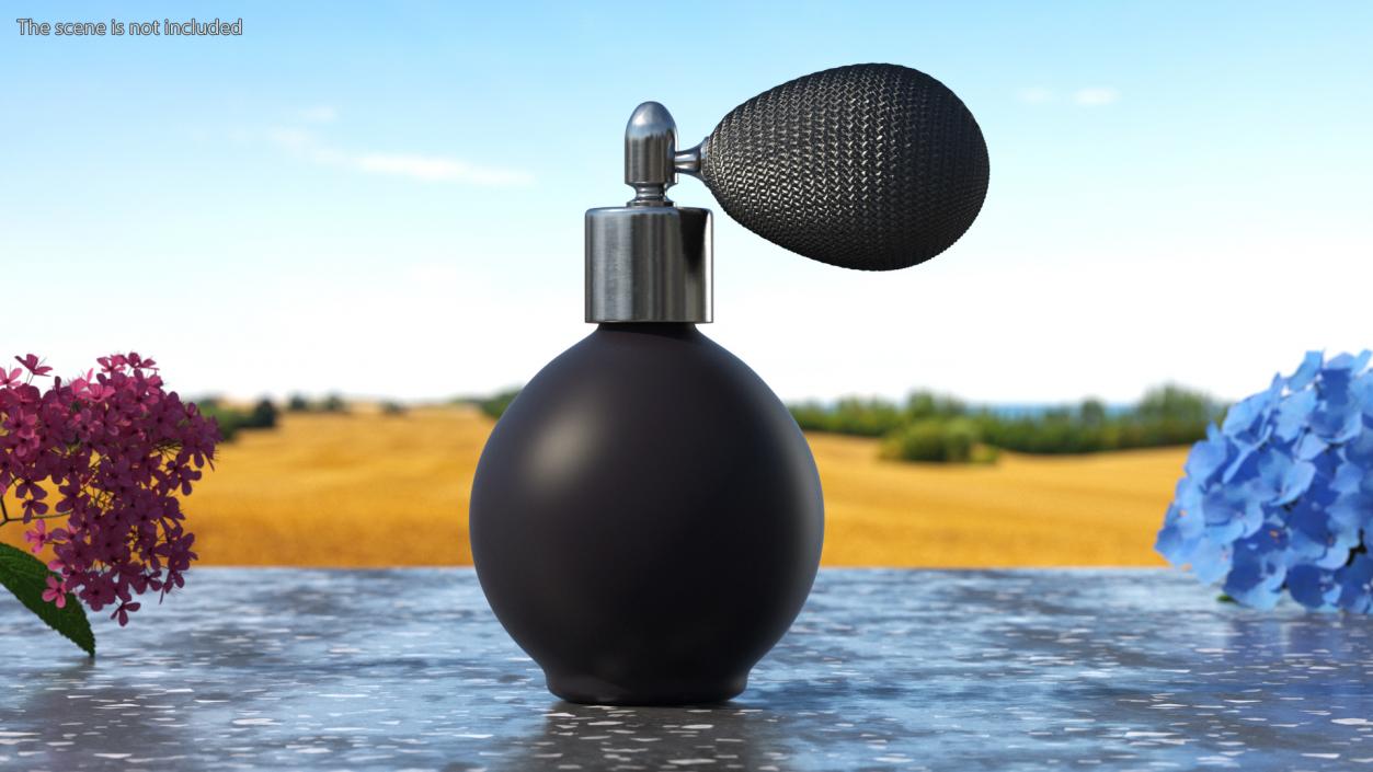 Black Matte Perfume Bottle with Silver Cap 3D