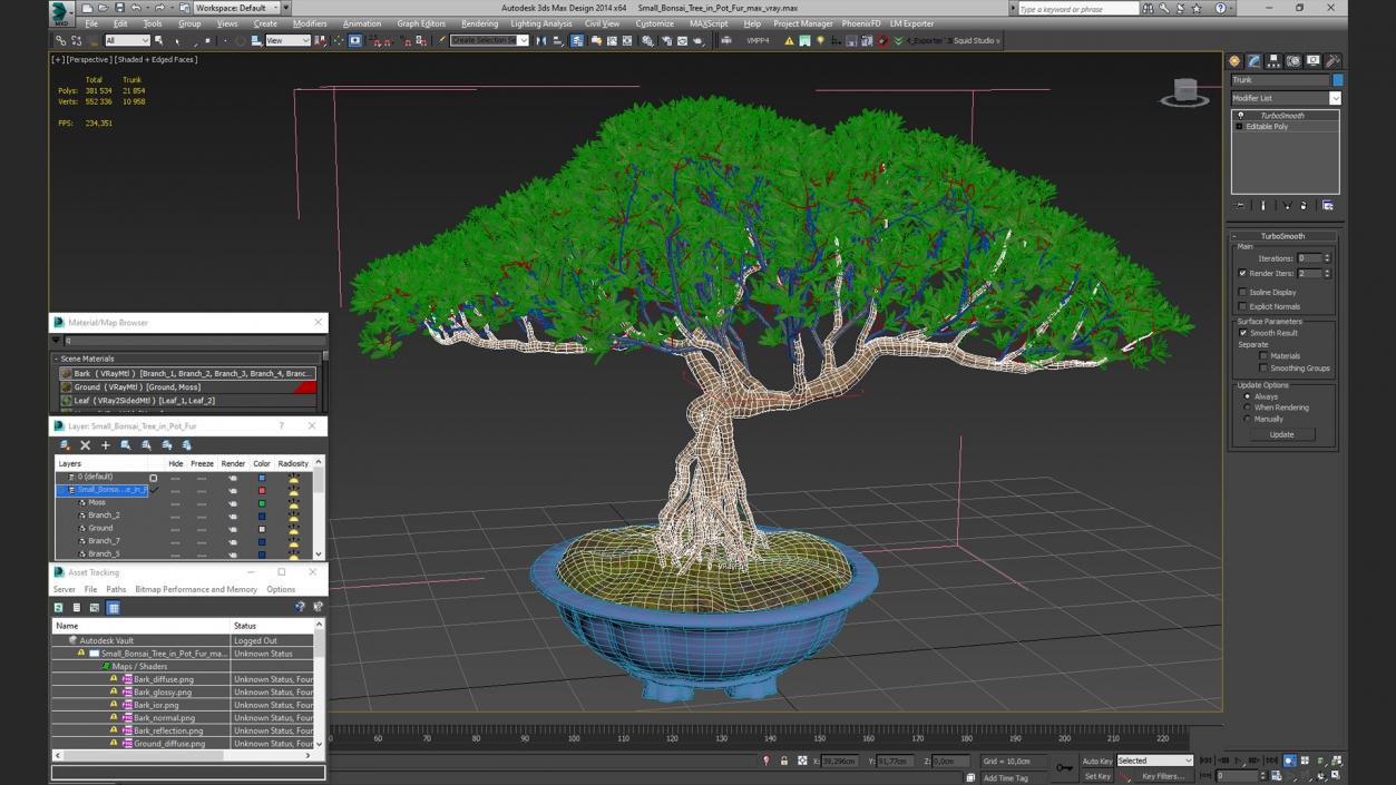 3D Small Bonsai Tree in Pot Fur model