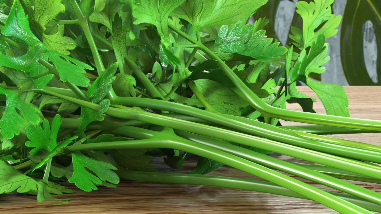 3D Fresh Parsley Leaves Bunch