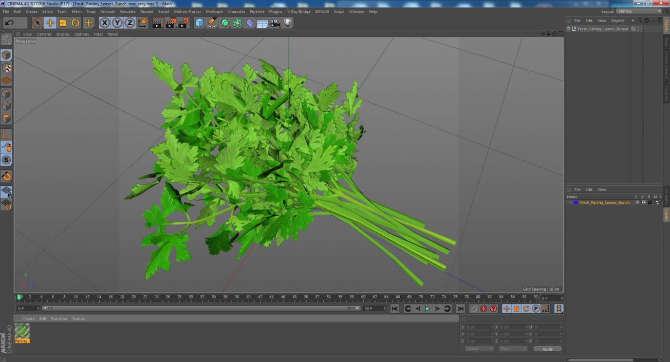 3D Fresh Parsley Leaves Bunch