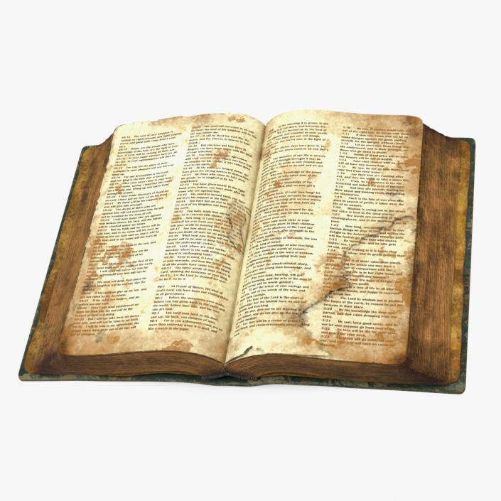 Old Open Clean Book 3D model