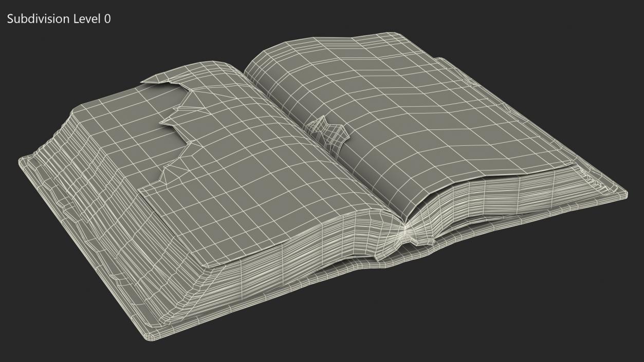 Old Open Clean Book 3D model