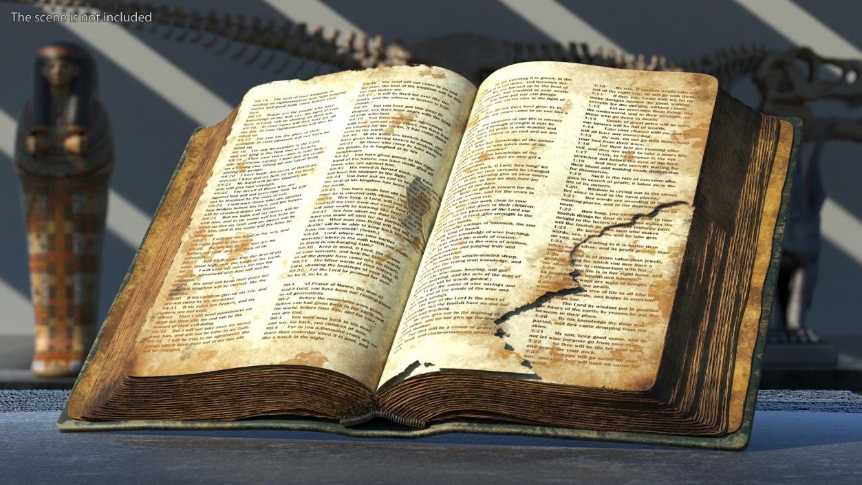 Old Open Clean Book 3D model