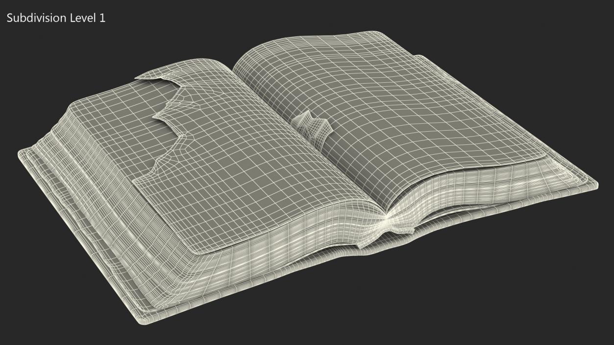 Old Open Clean Book 3D model