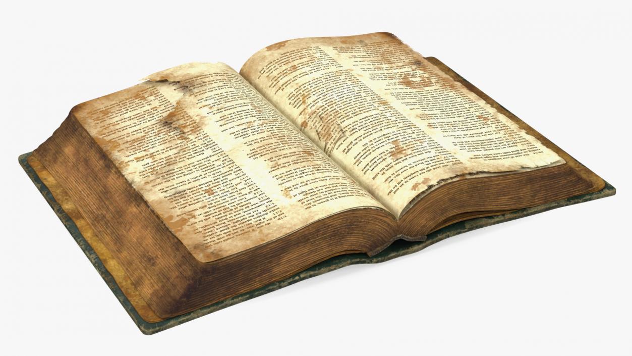 Old Open Clean Book 3D model