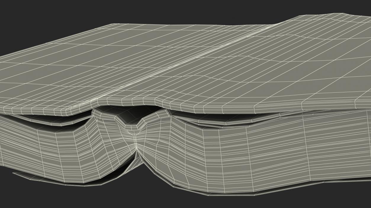 Old Open Clean Book 3D model