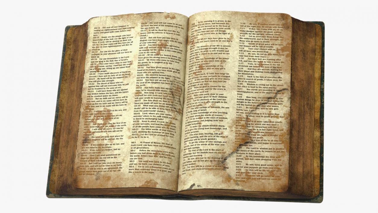 Old Open Clean Book 3D model