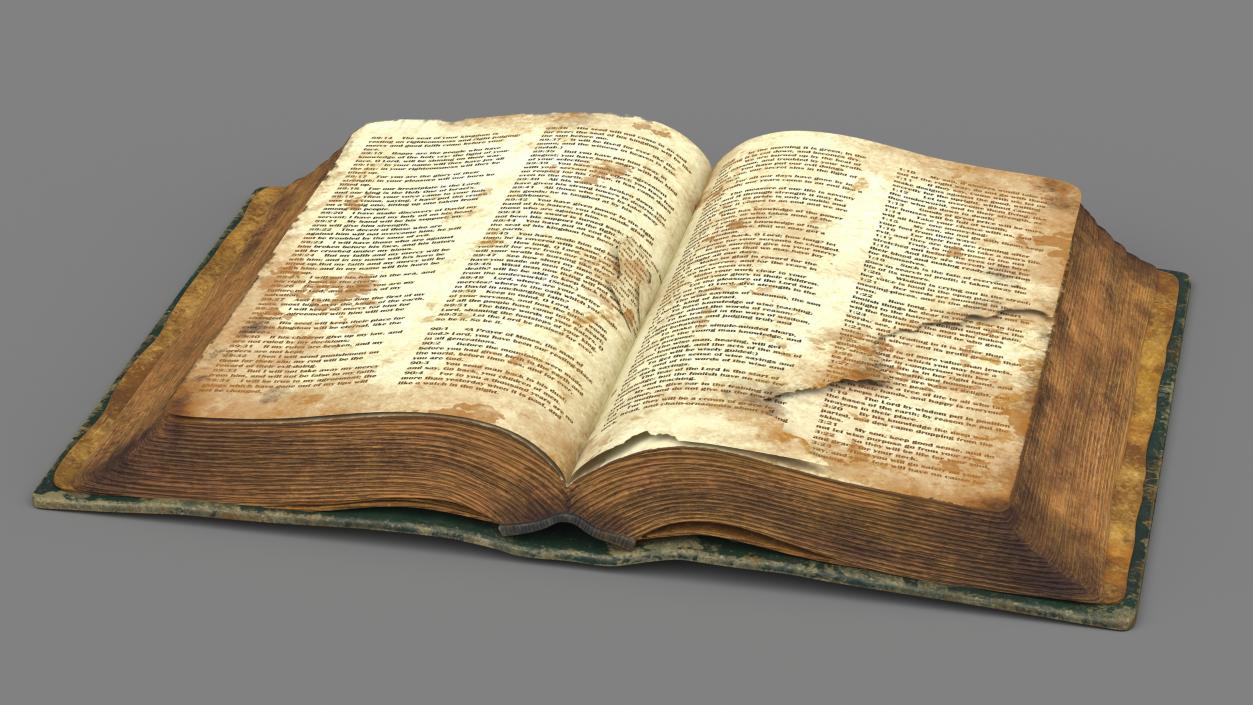 Old Open Clean Book 3D model