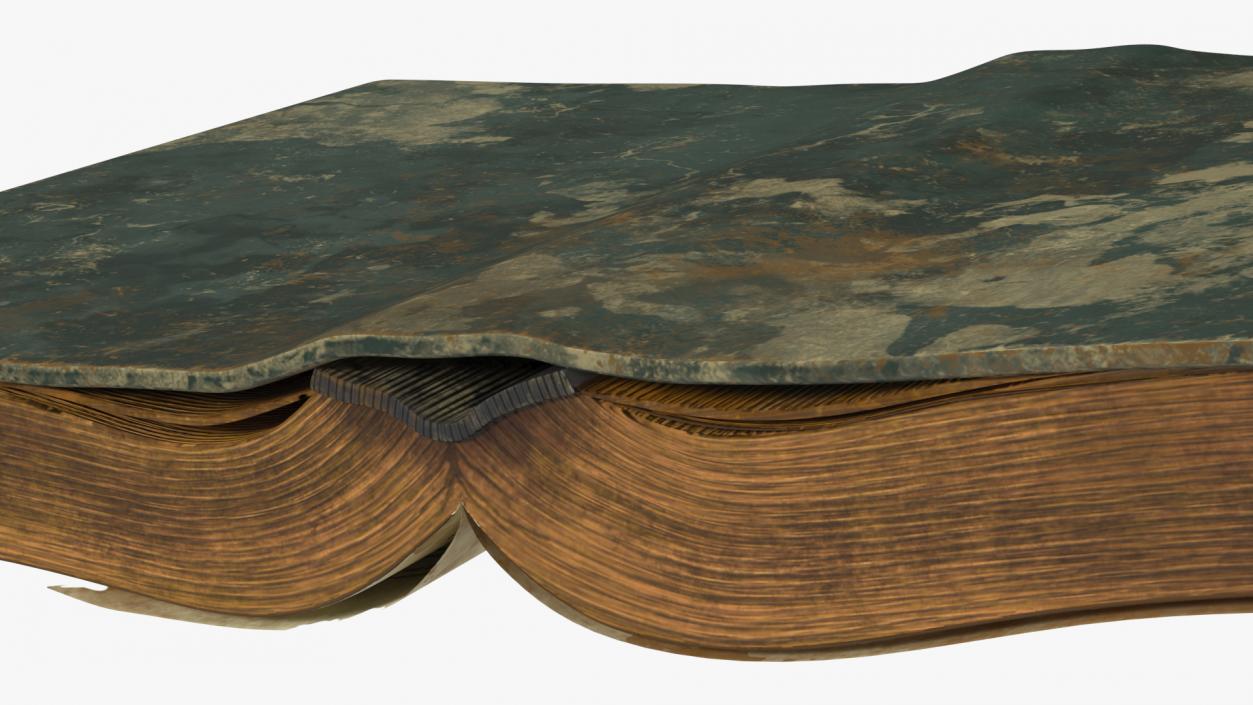 Old Open Clean Book 3D model