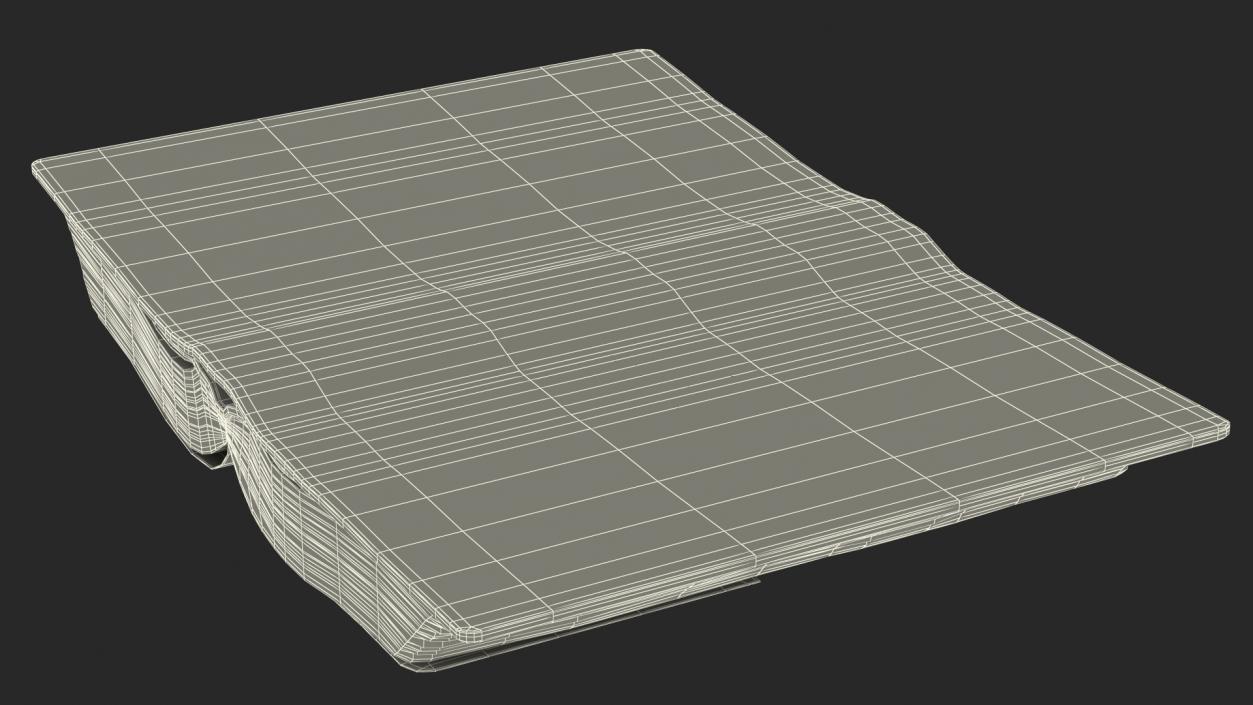 Old Open Clean Book 3D model