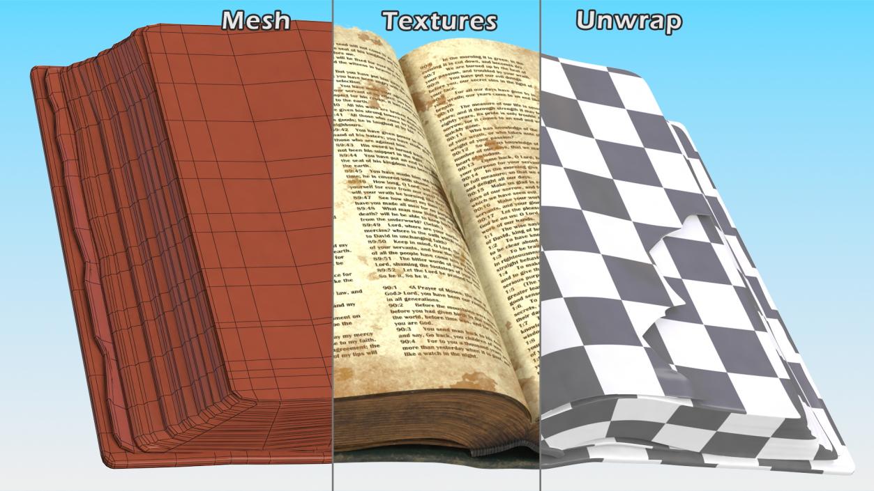 Old Open Clean Book 3D model