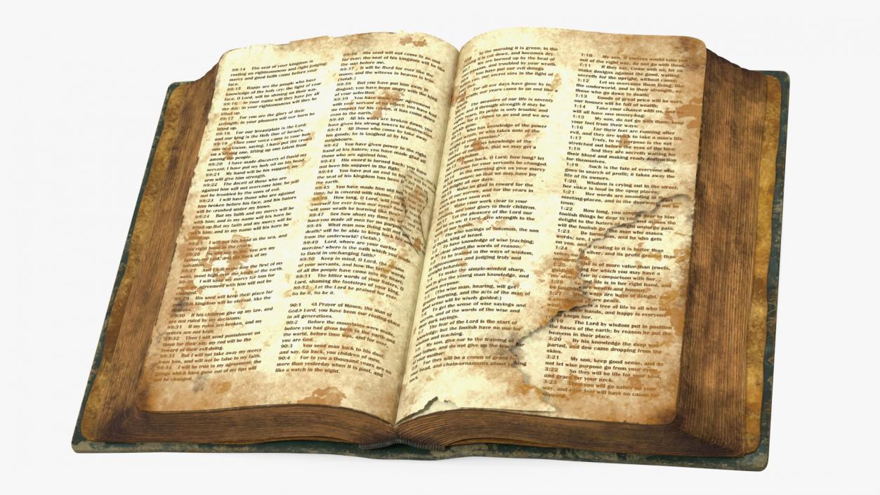 Old Open Clean Book 3D model