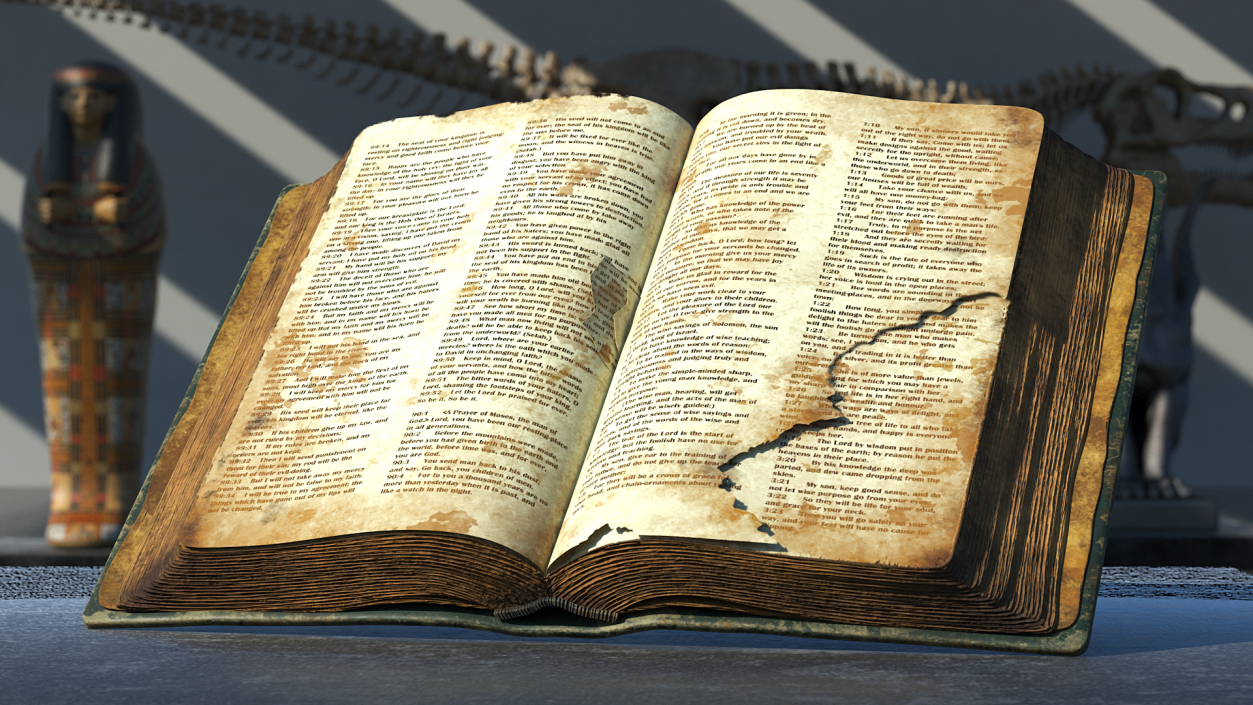 Old Open Clean Book 3D model