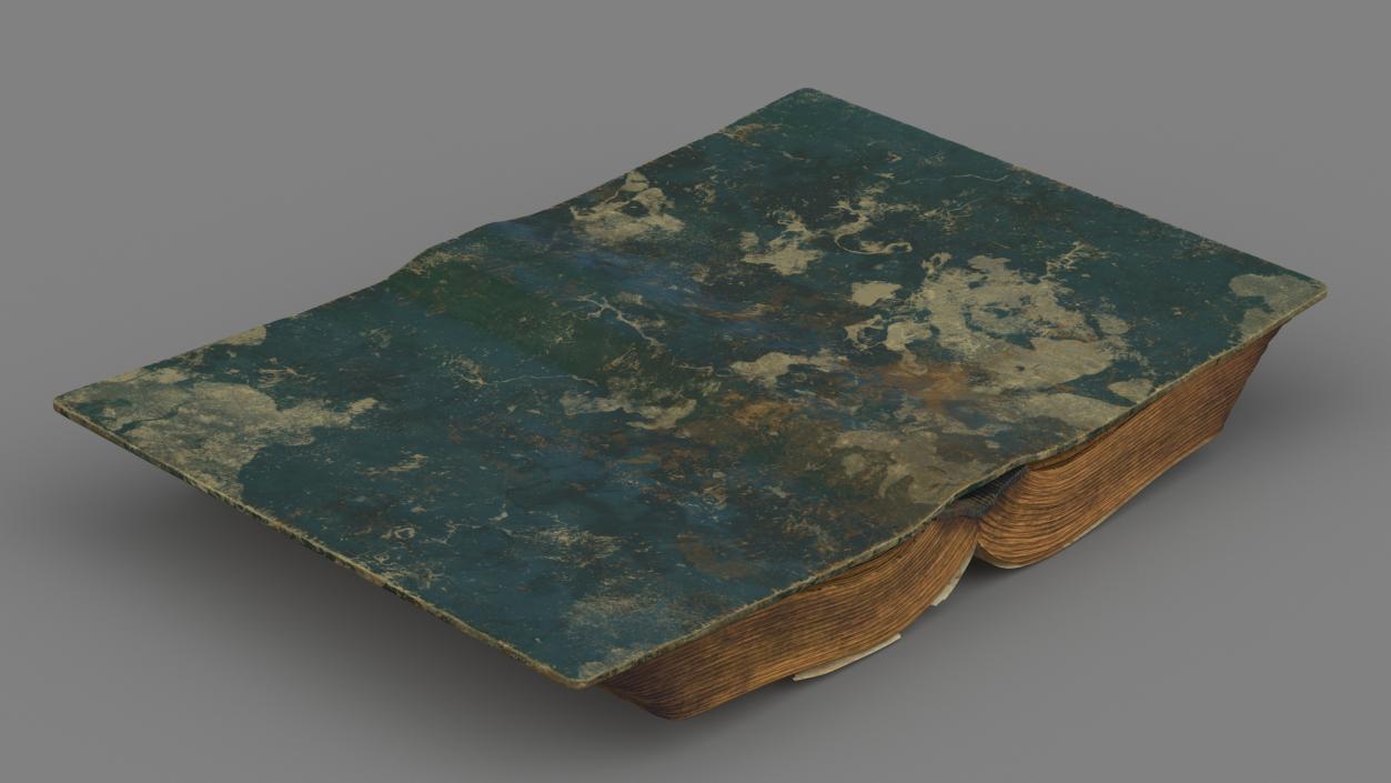 Old Open Clean Book 3D model