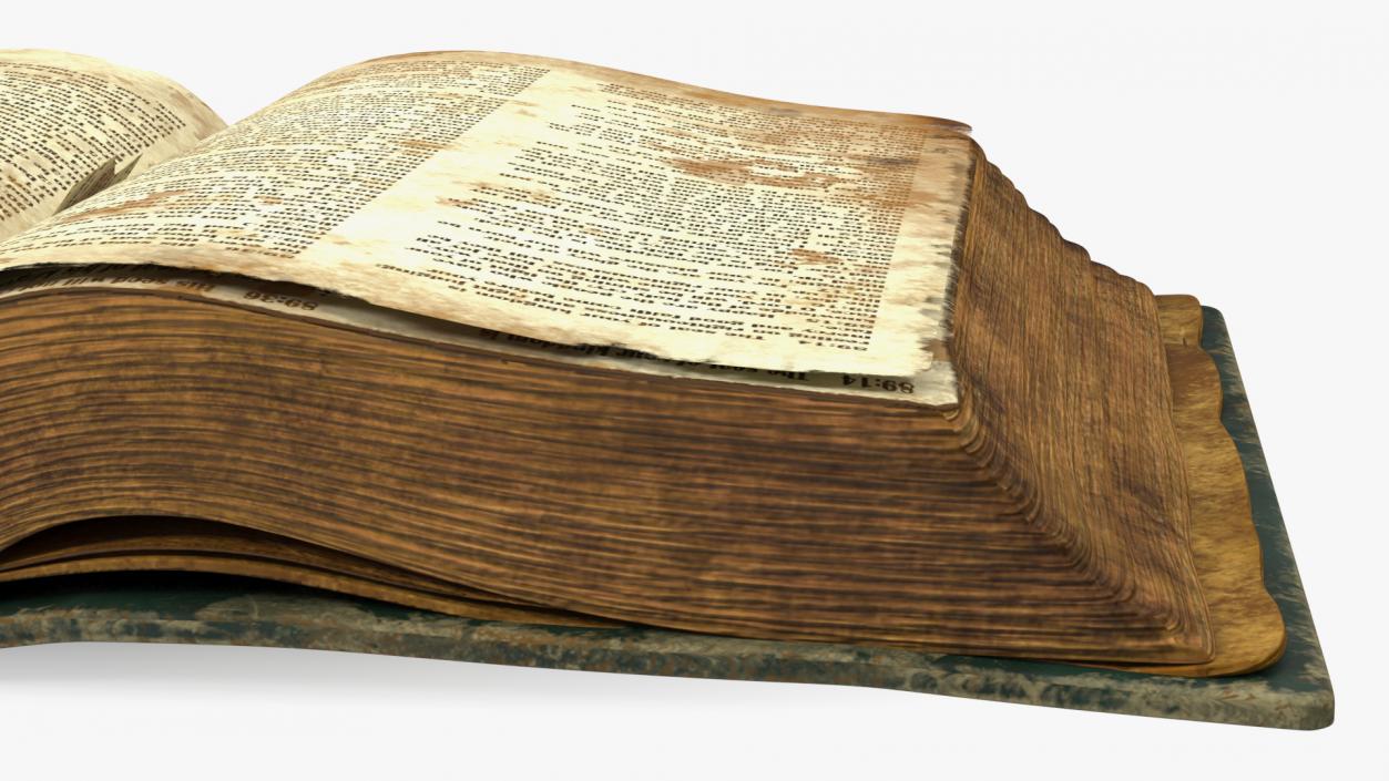 Old Open Clean Book 3D model