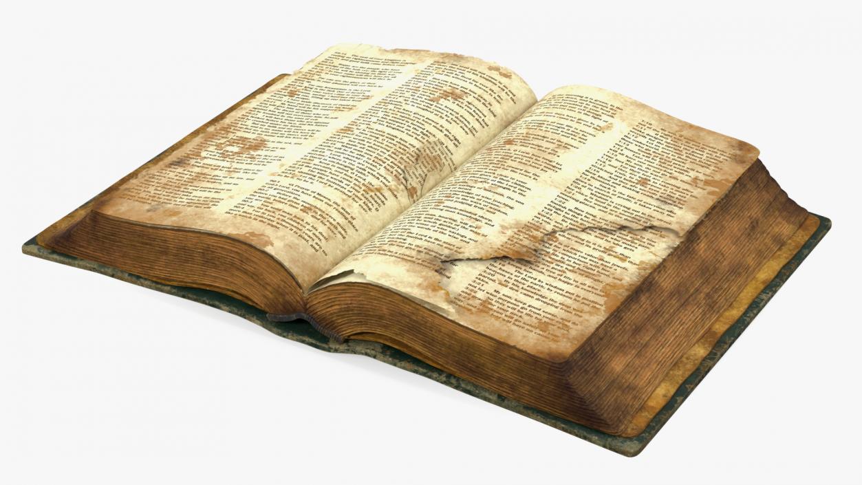 Old Open Clean Book 3D model