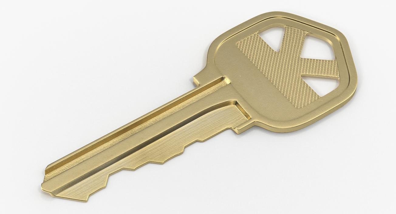 3D Bronze House Key