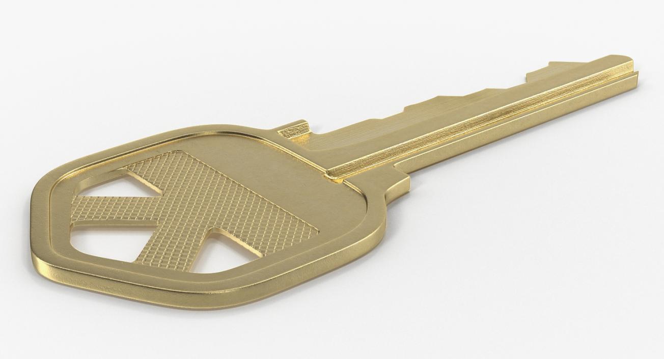 3D Bronze House Key