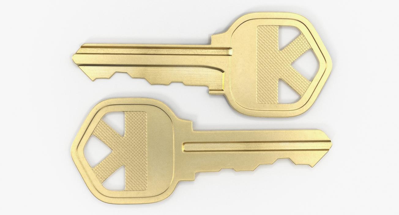 3D Bronze House Key