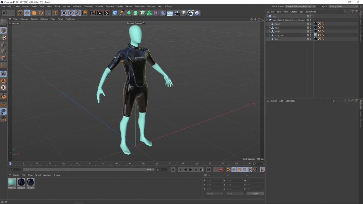 3D Man Wetsuit Cressi Shorty Version model