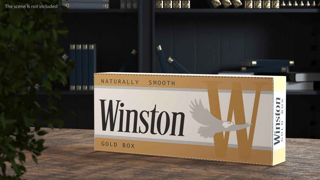 Carton Cigarettes Box Winston 3D model