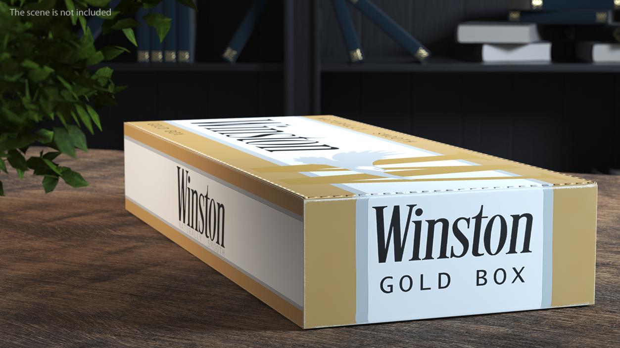 Carton Cigarettes Box Winston 3D model