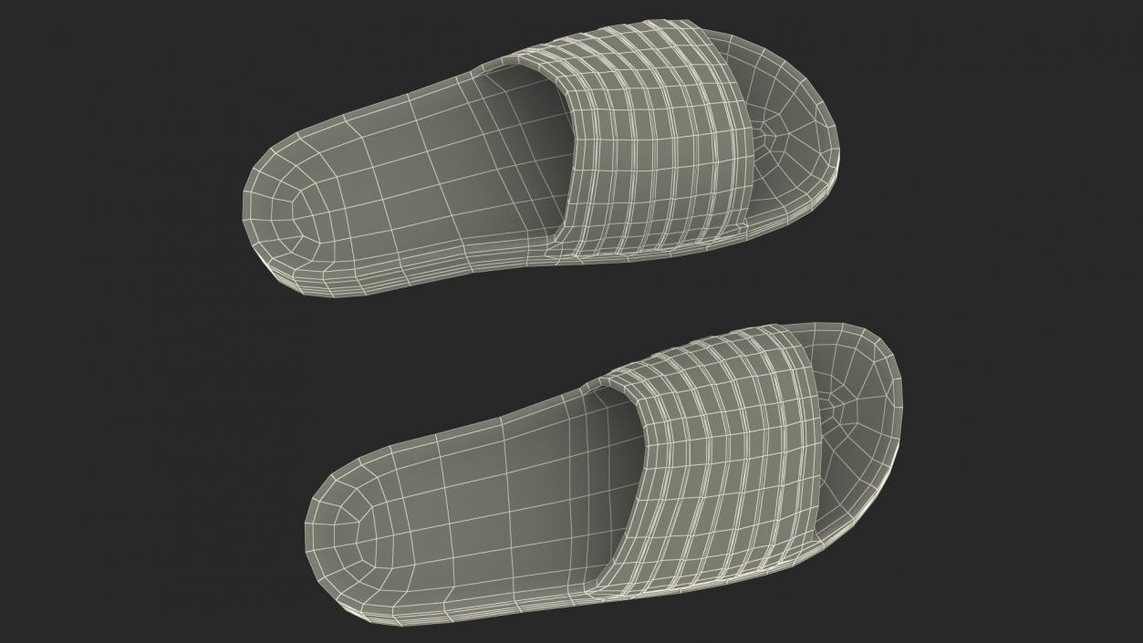 Flip-Flop Slippers Light Blue 3D model