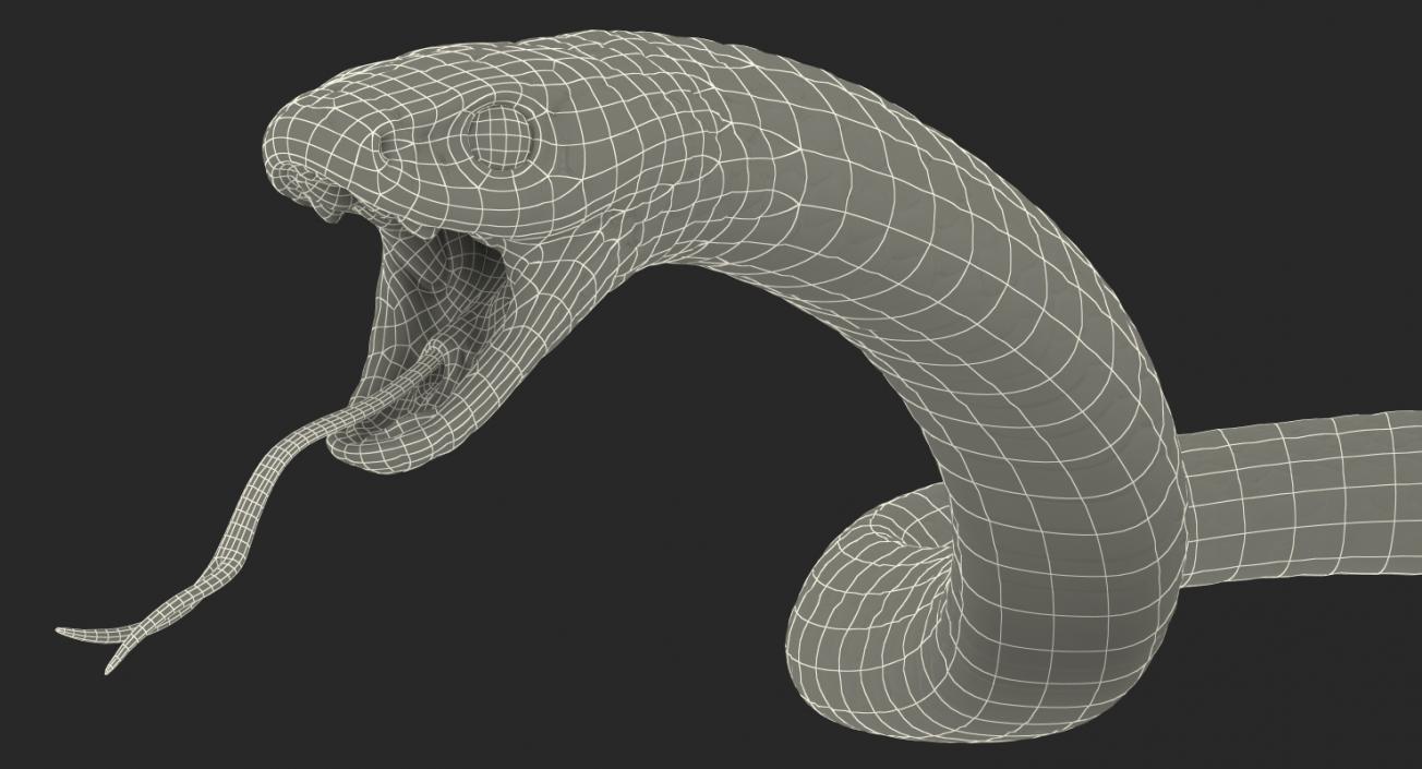 Rigged Snakes 3D Models Collection 3D model