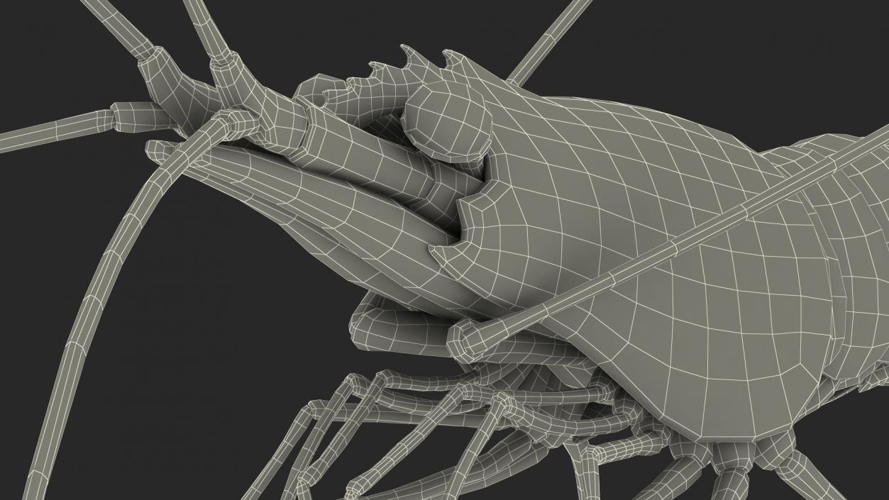 3D Fire Blood Shrimp Rigged Fur model