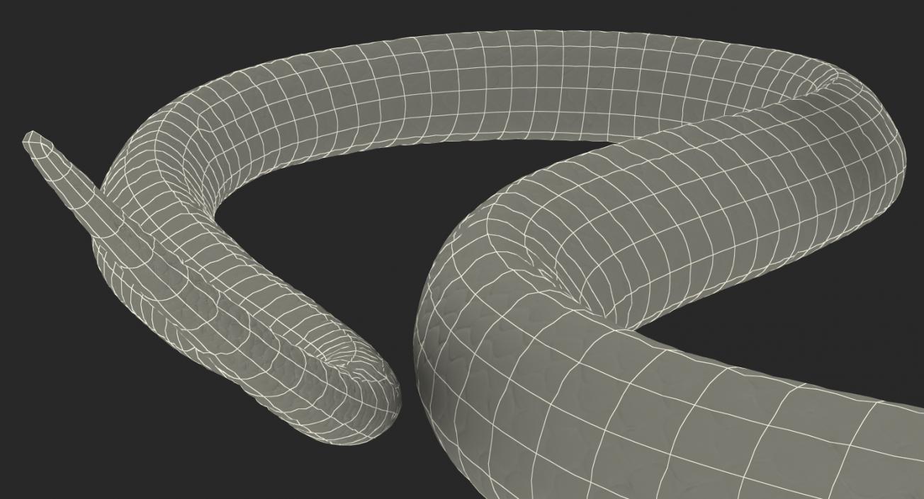 3D model Desert Black King Snake Rigged