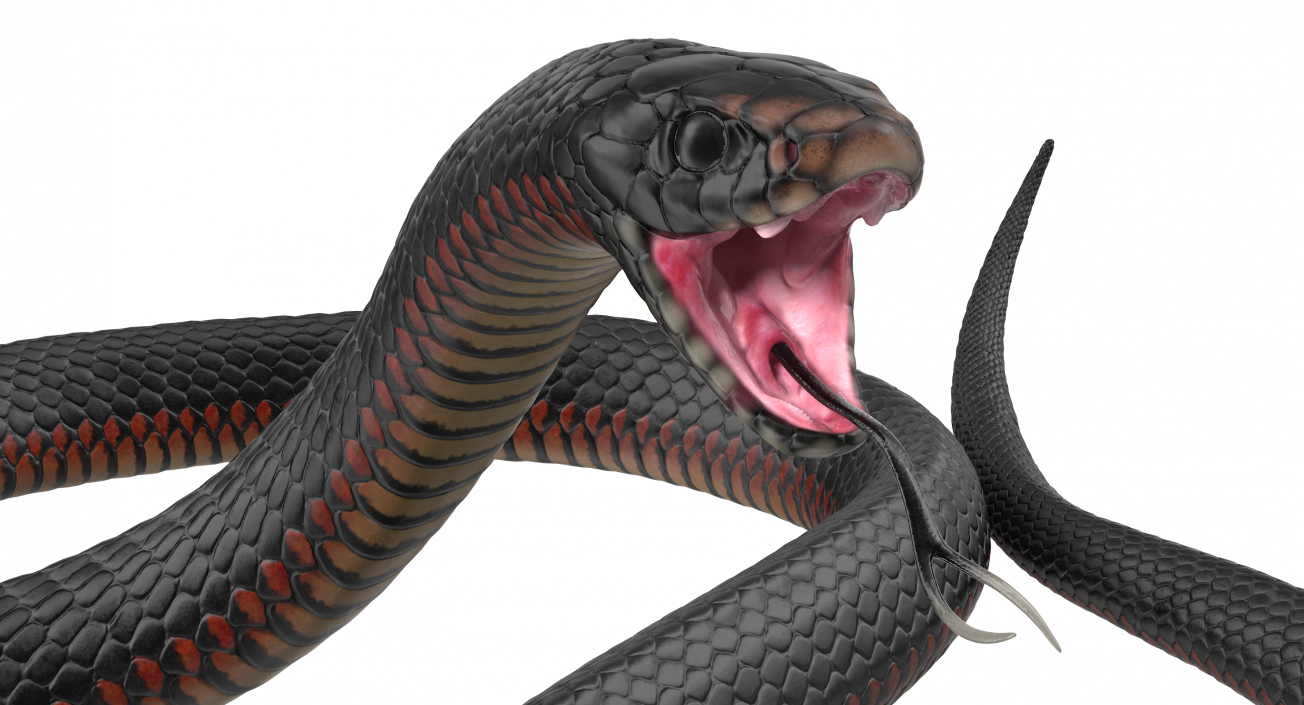 3D model Desert Black King Snake Rigged