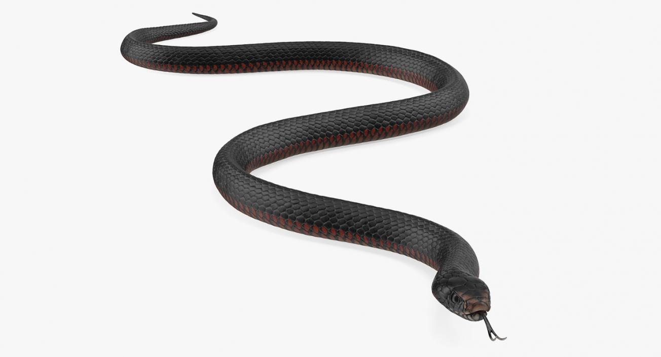 3D model Desert Black King Snake Rigged