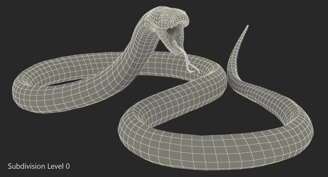 3D model Desert Black King Snake Rigged