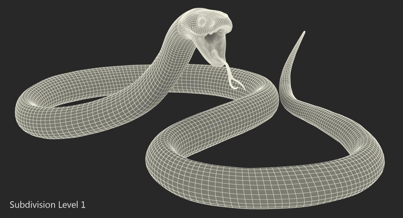 3D model Desert Black King Snake Rigged