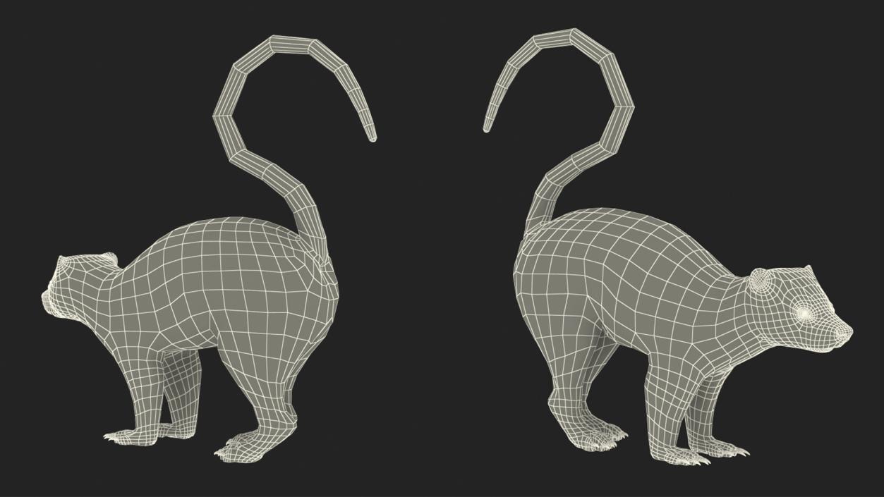 Skunk Wary Fur 3D model