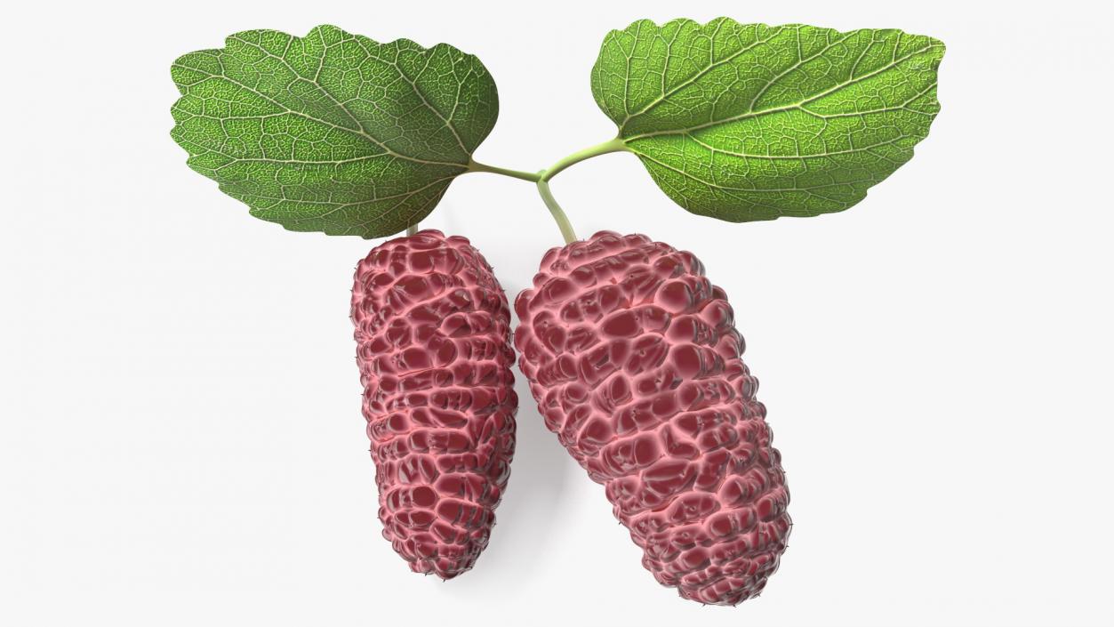 3D Mulberry Fruit Pink with Leaves