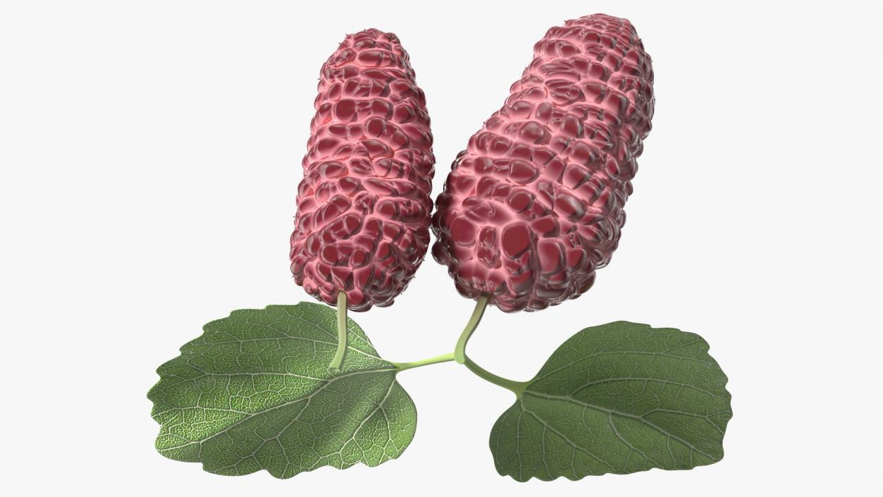 3D Mulberry Fruit Pink with Leaves