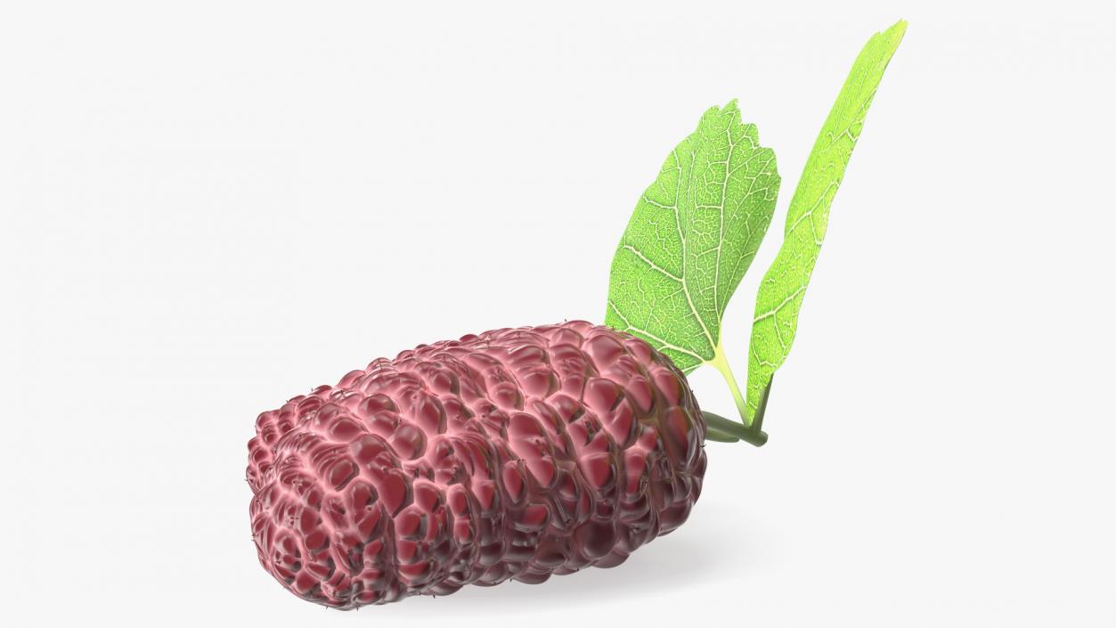 3D Mulberry Fruit Pink with Leaves