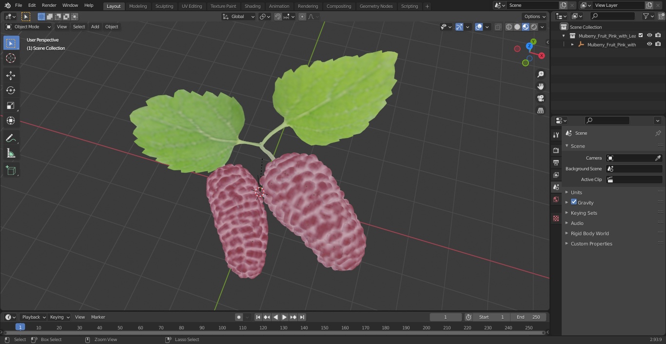 3D Mulberry Fruit Pink with Leaves