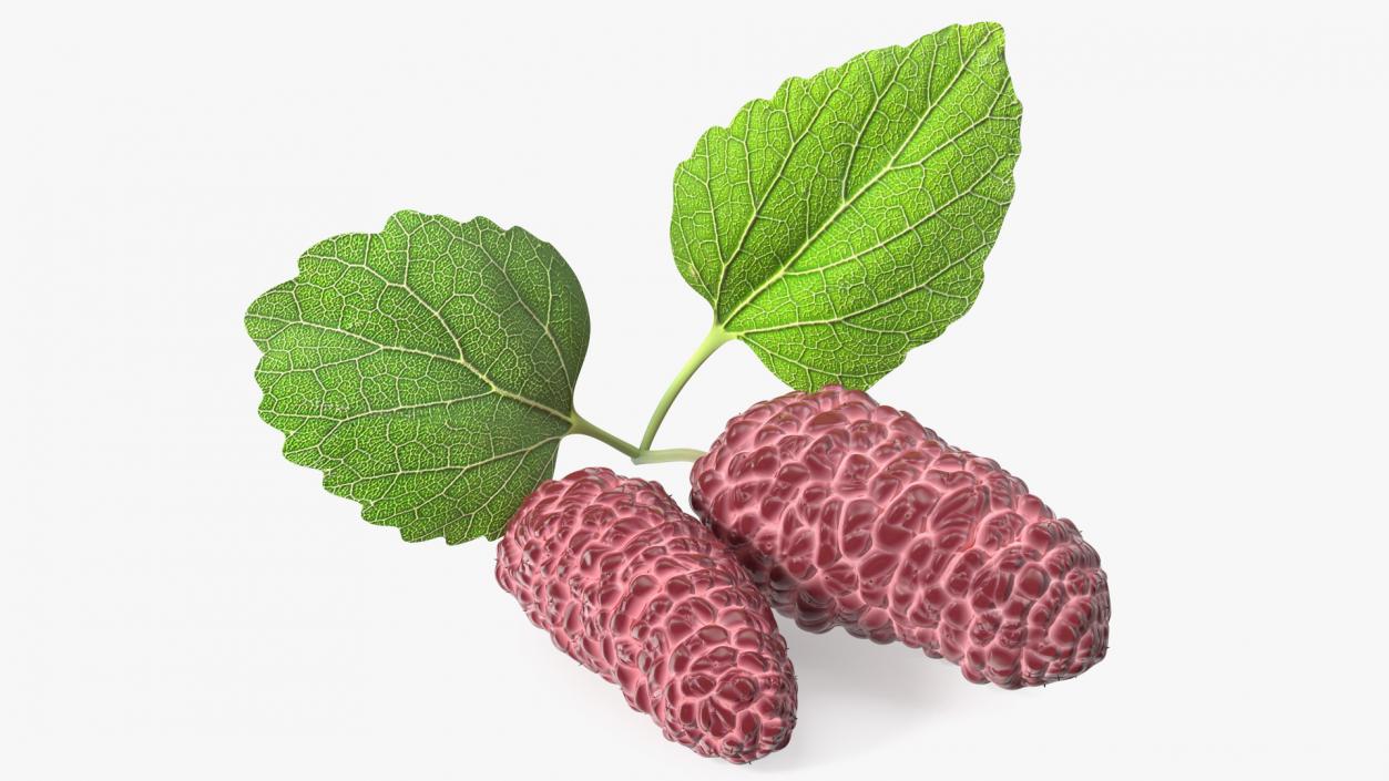 3D Mulberry Fruit Pink with Leaves