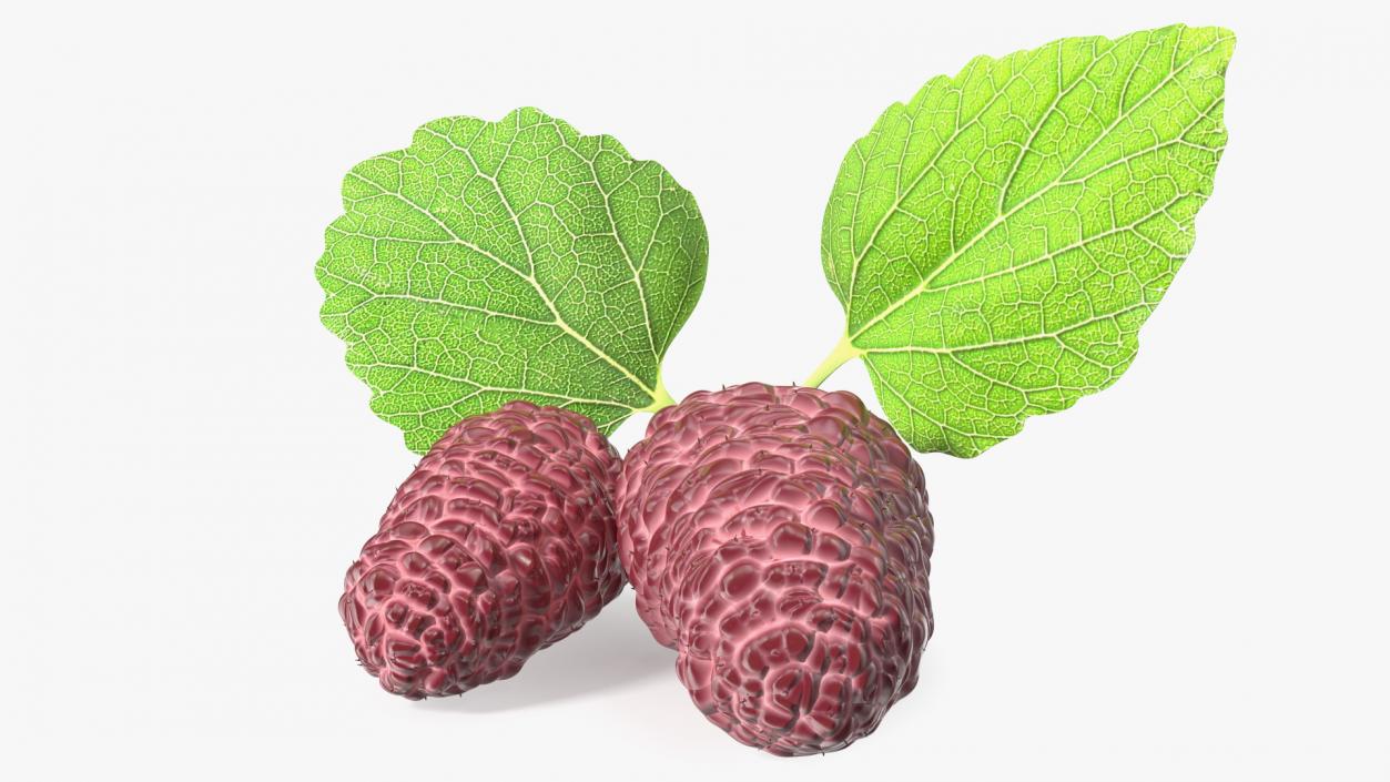 3D Mulberry Fruit Pink with Leaves