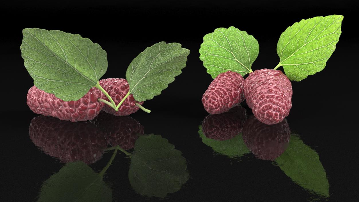 3D Mulberry Fruit Pink with Leaves