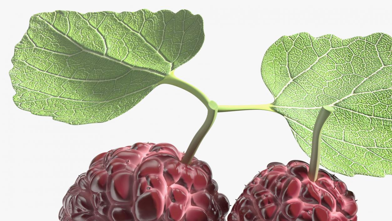 3D Mulberry Fruit Pink with Leaves