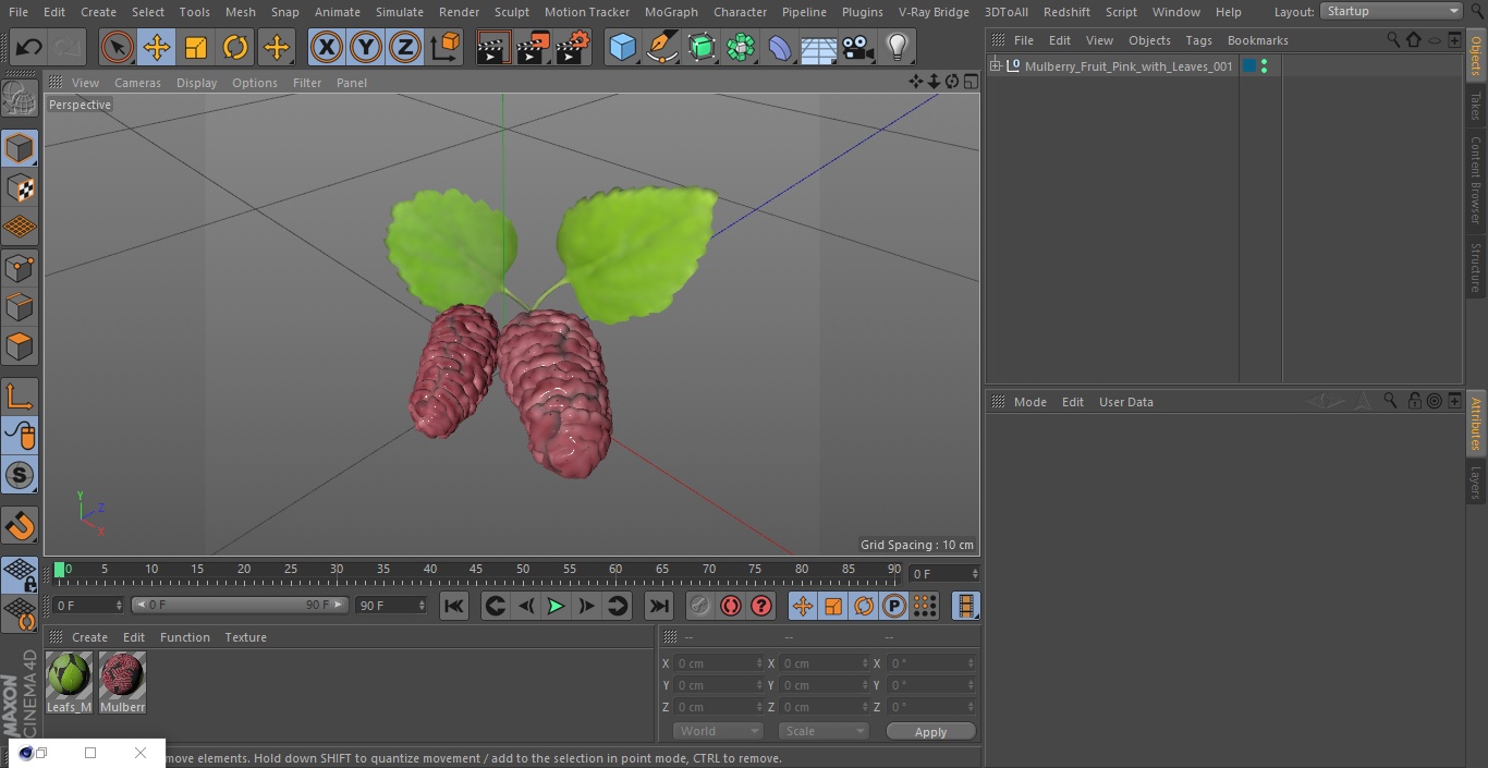 3D Mulberry Fruit Pink with Leaves