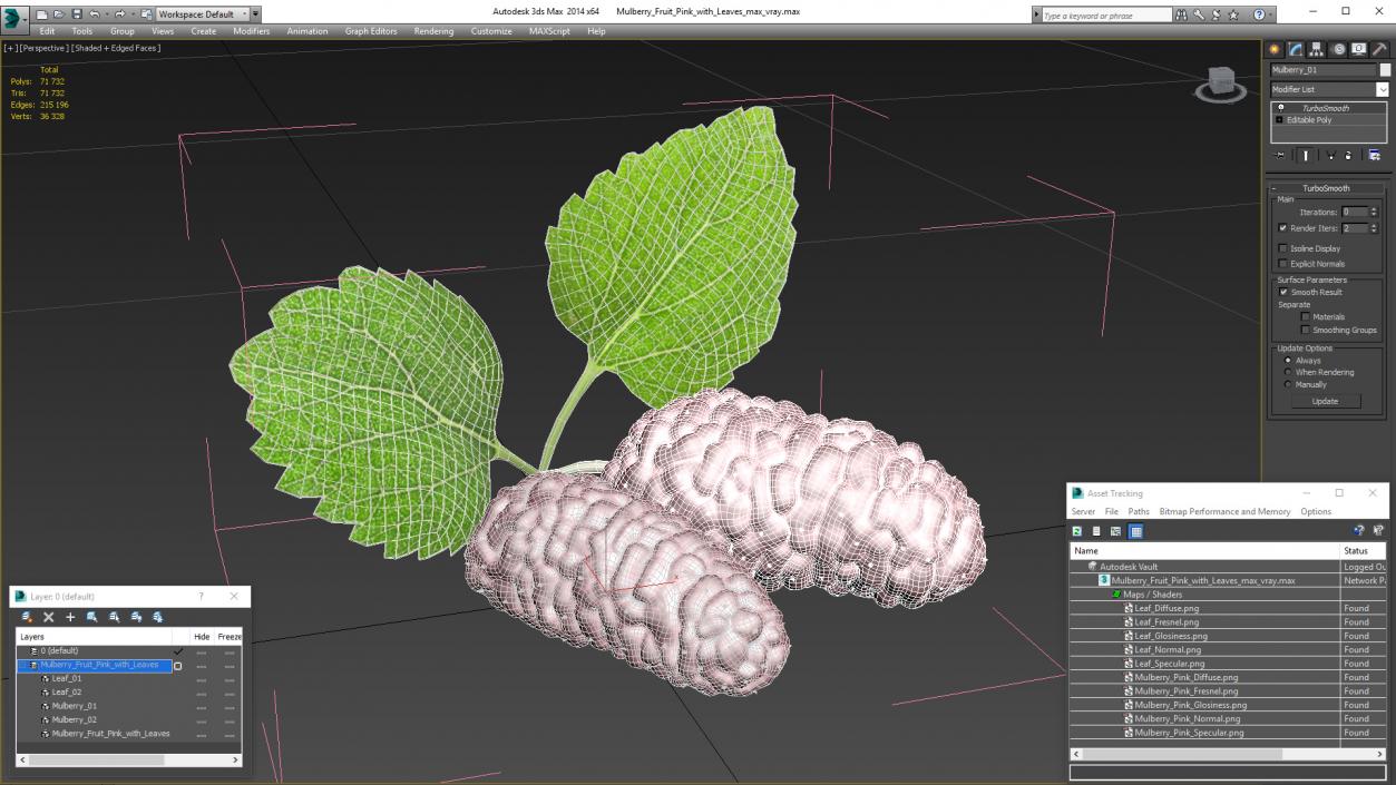 3D Mulberry Fruit Pink with Leaves