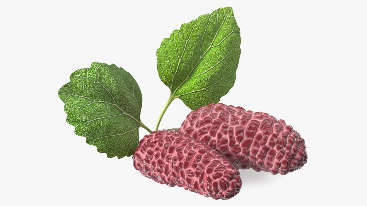 3D Mulberry Fruit Pink with Leaves