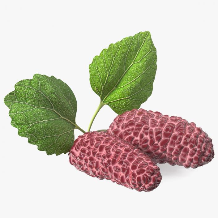 3D Mulberry Fruit Pink with Leaves