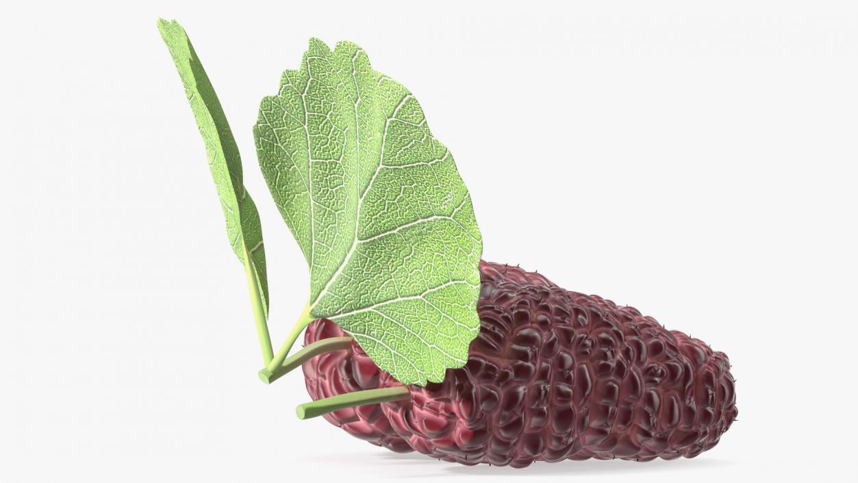 3D Mulberry Fruit Pink with Leaves